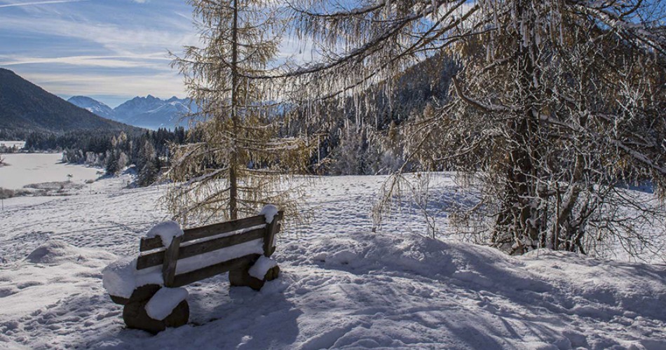 winter-frajo016