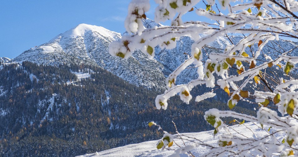 winter-frajo017